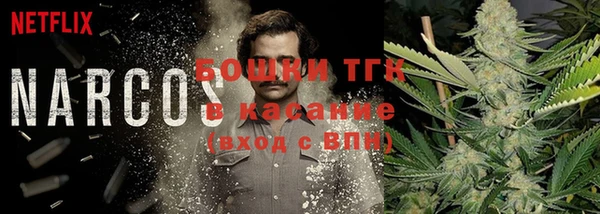круглые Корсаков